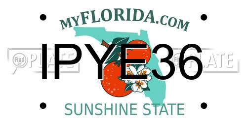 IPYE36 Florida License Plate