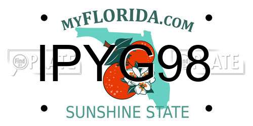 IPYG98 Florida License Plate
