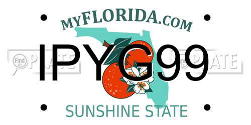 IPYG99 Florida License Plate