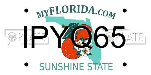 IPYQ65 Florida License Plate