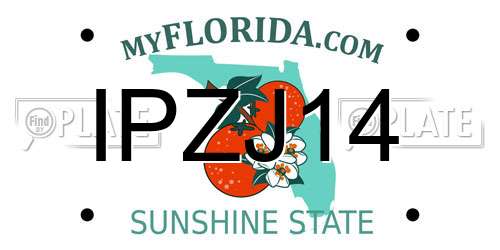 IPZJ14 Florida License Plate