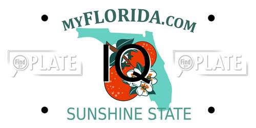 IQ Florida License Plate