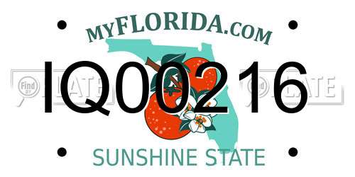 IQ00216 Florida License Plate