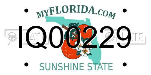 IQ00229 Florida License Plate