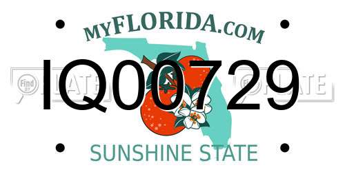 IQ00729 Florida License Plate