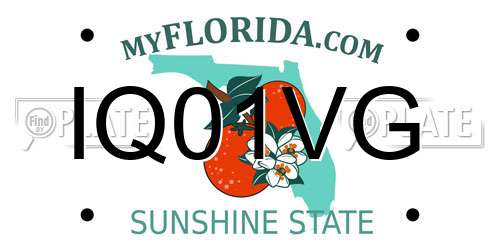 IQ01VG Florida License Plate