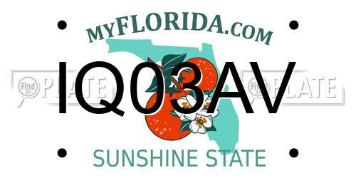IQ03AV Florida License Plate