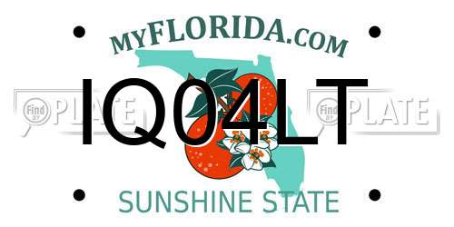 IQ04LT Florida License Plate