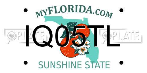 IQ05TL Florida License Plate