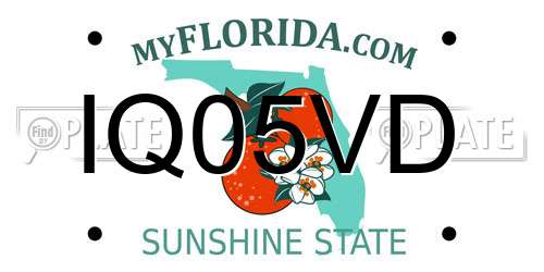 IQ05VD Florida License Plate