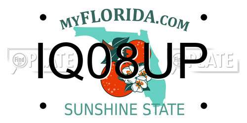 IQ08UP Florida License Plate