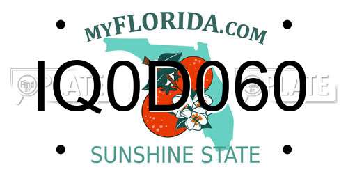 IQ0D060 Florida License Plate