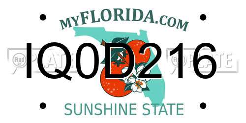 IQ0D216 Florida License Plate