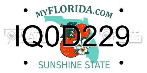 IQ0D229 Florida License Plate