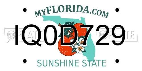 IQ0D729 Florida License Plate