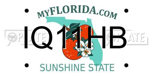 IQ11HB Florida License Plate