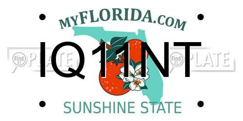 IQ11NT Florida License Plate