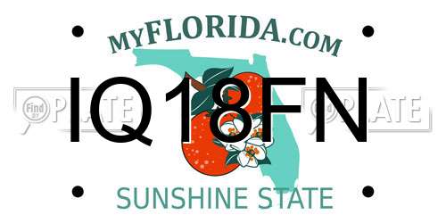 IQ18FN Florida License Plate