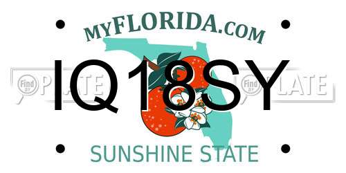 IQ18SY Florida License Plate