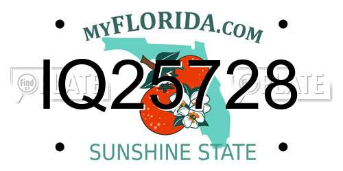 IQ25728 Florida License Plate