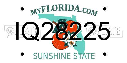 IQ28225 Florida License Plate
