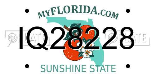 IQ28228 Florida License Plate