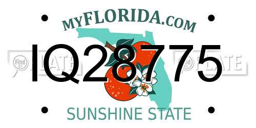 IQ28775 Florida License Plate