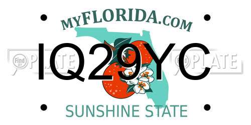 IQ29YC Florida License Plate