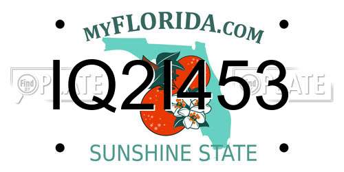 IQ2I453 Florida License Plate