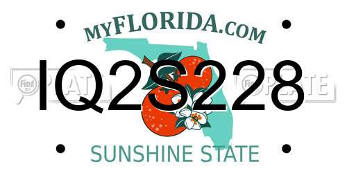 IQ2S228 Florida License Plate
