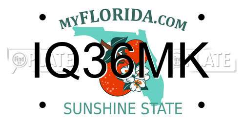 IQ36MK Florida License Plate