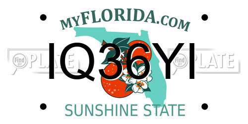 IQ36YI Florida License Plate