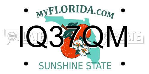IQ37QM Florida License Plate
