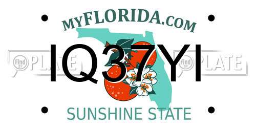 IQ37YI Florida License Plate