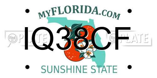 IQ38CF Florida License Plate