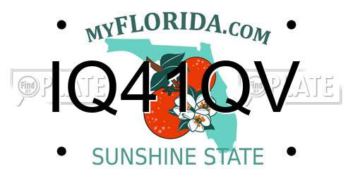 IQ41QV Florida License Plate