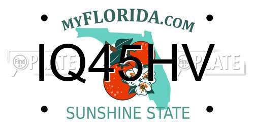 IQ45HV Florida License Plate