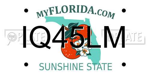 IQ45LM Florida License Plate