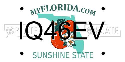 IQ46EV Florida License Plate