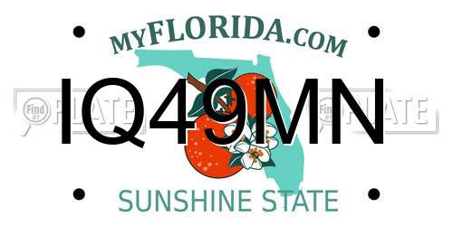 IQ49MN Florida License Plate