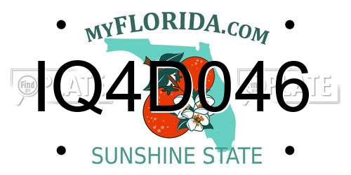 IQ4D046 Florida License Plate