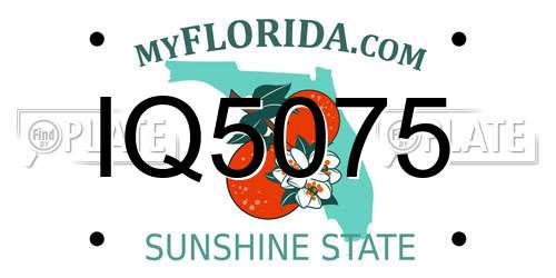 IQ5075 Florida License Plate