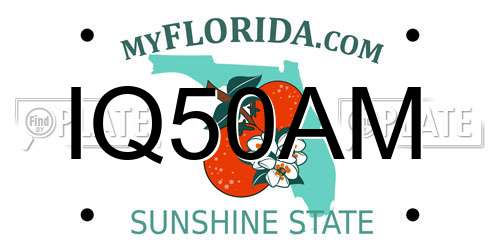 IQ50AM Florida License Plate