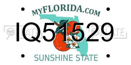 IQ51529 Florida License Plate