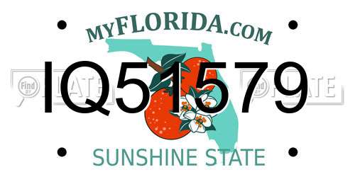 IQ51579 Florida License Plate
