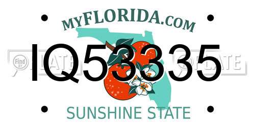 IQ53335 Florida License Plate
