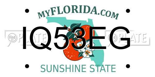 IQ53EG Florida License Plate