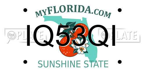 IQ53QI Florida License Plate