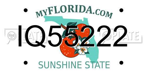 IQ55222 Florida License Plate