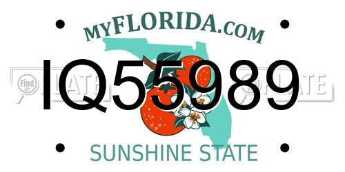 IQ55989 Florida License Plate